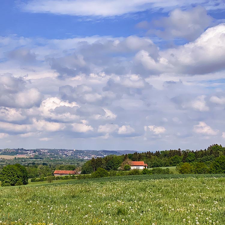 Blick auf Pfarrkirchen im Rottal