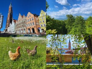 Eine Collage mit Landshut, niederbayerischer Landschaft, Hühnern und einer naturnahen Kleinstadt